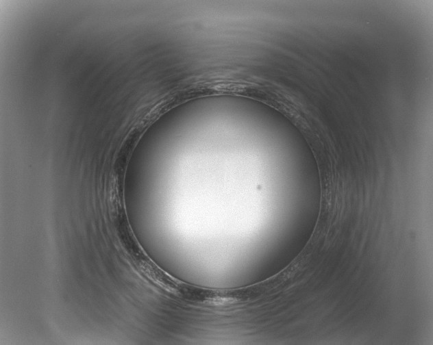 X0000080110748200612080955