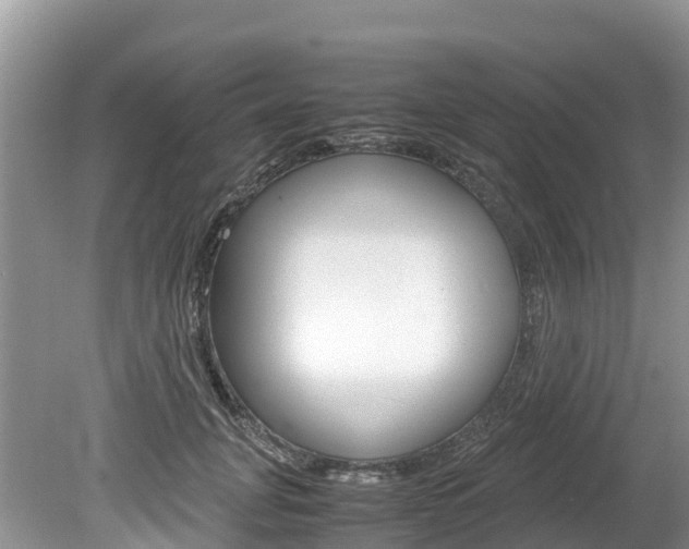 X0000080110751200612080955