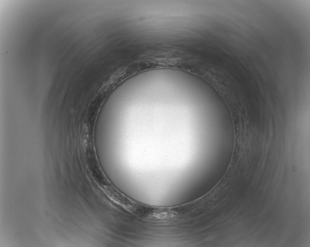 X0000080110752200612080955