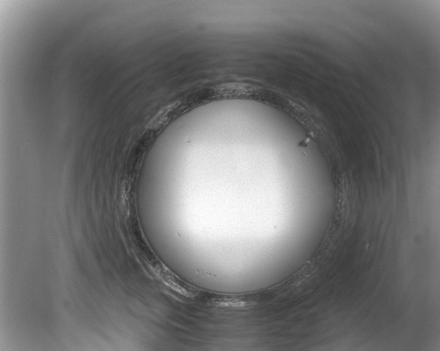 X0000080110759200612080955