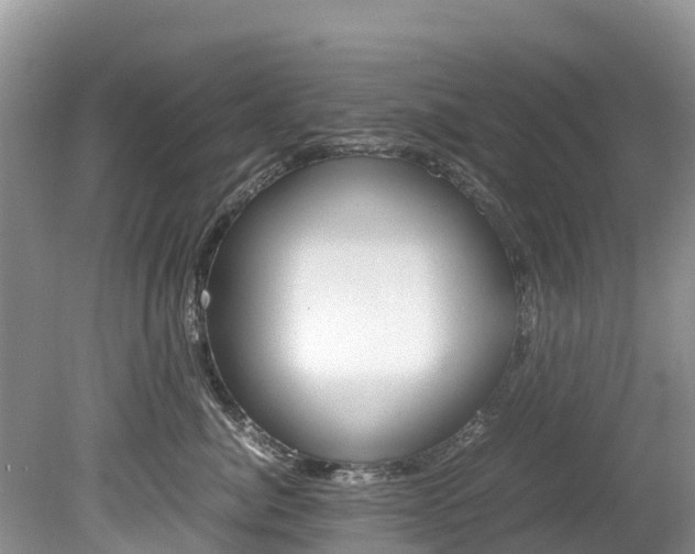 X0000080110764200612080955