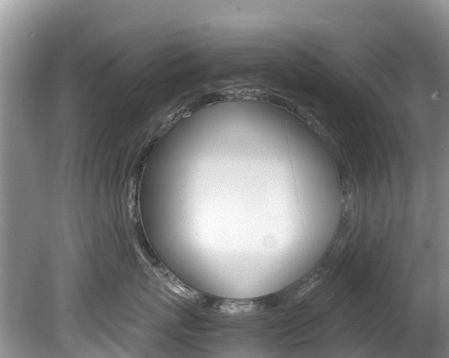 X0000080110767200612080955