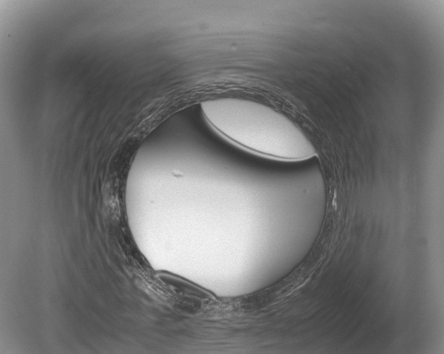 X0000080110771200612080954
