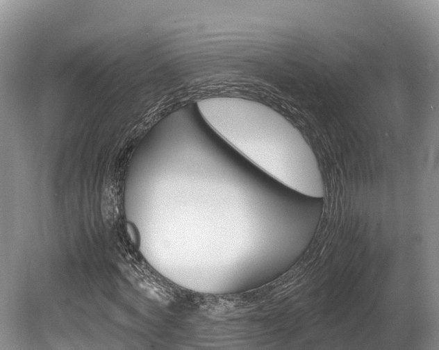 X0000080110772200612080954