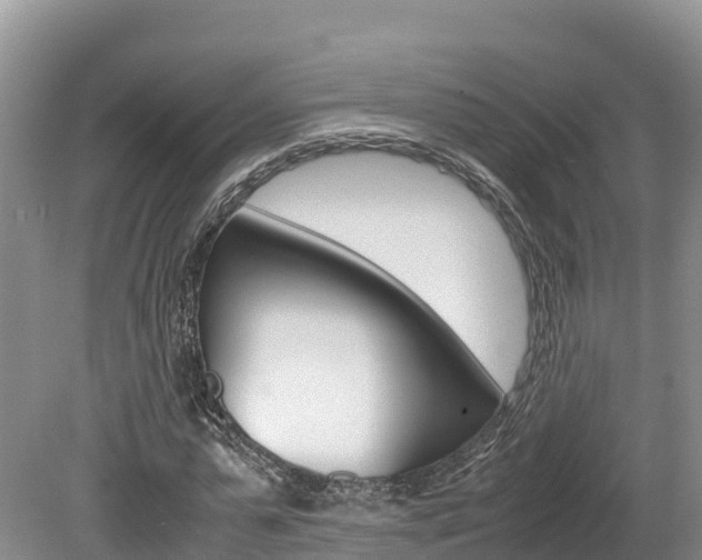 X0000080110775200612080954