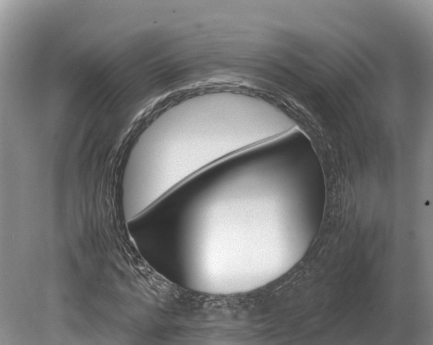 X0000080110776200612080954