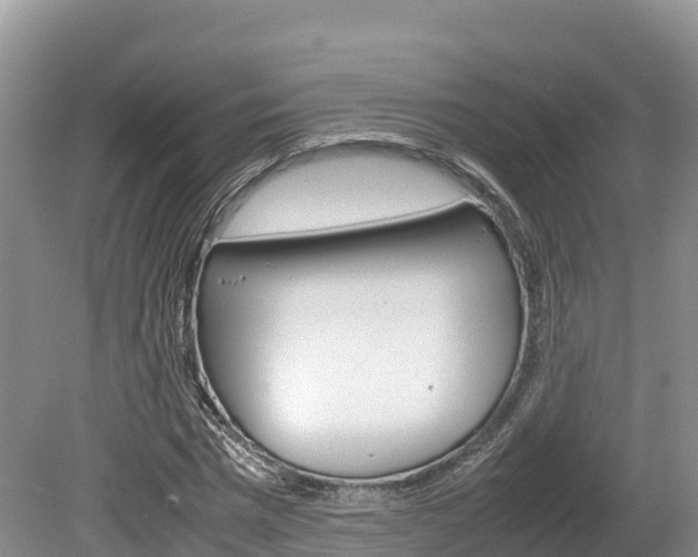 X0000080110777200612080954