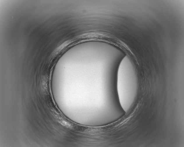 X0000080110778200612080954