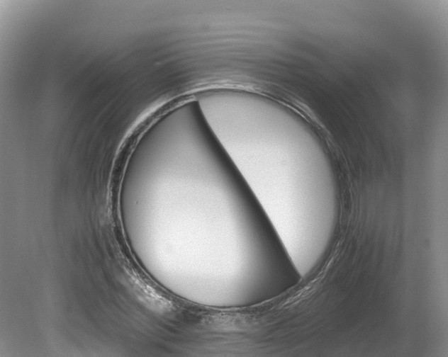 X0000080110780200612080954