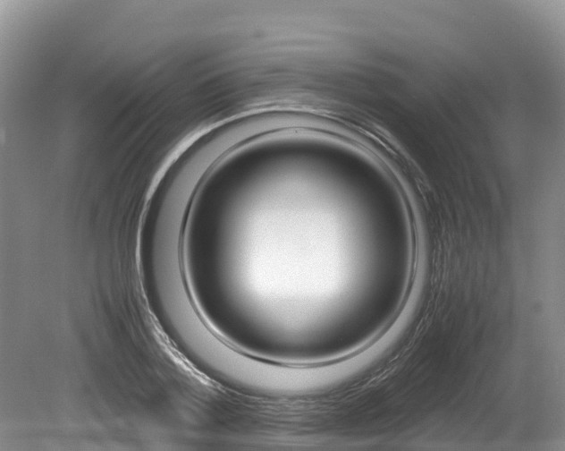 X0000080110788200612080954