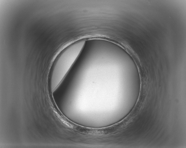 X0000080110789200612080954