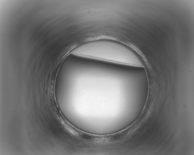 X0000080110793200612080954