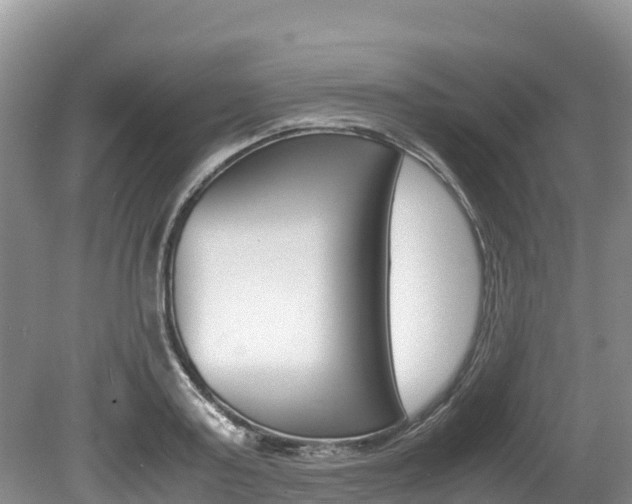 X0000080110795200612080954