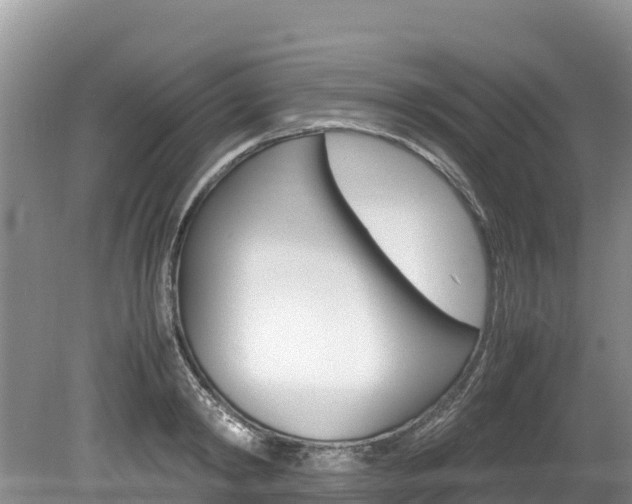 X0000080110798200612080954