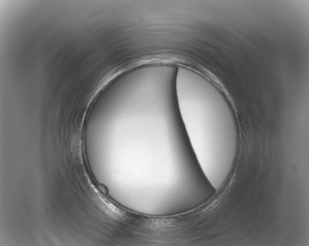 X0000080110802200612080954