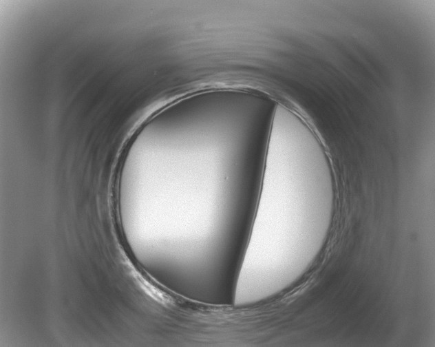 X0000080110803200612080954