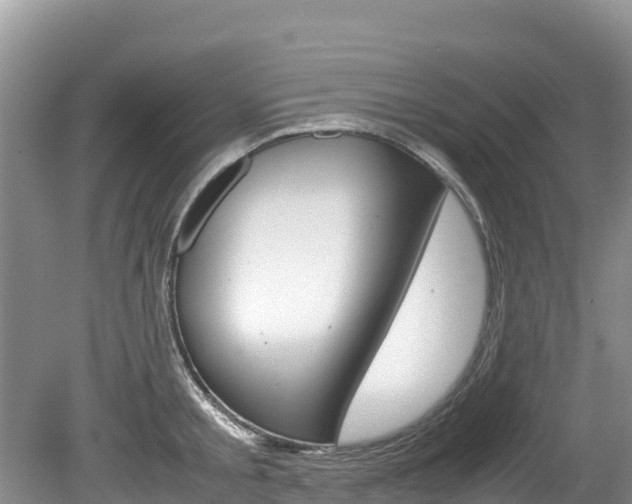 X0000080110805200612080954
