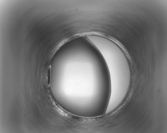 X0000080110809200612080953
