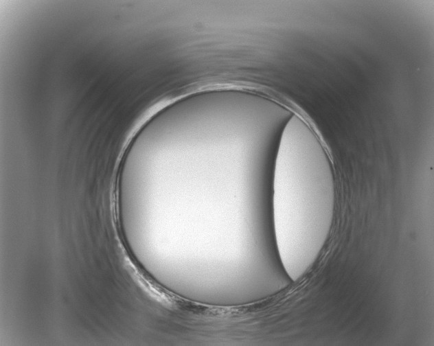 X0000080110811200612080953