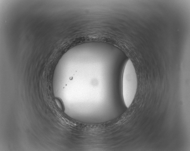 X0000080110817200612080953