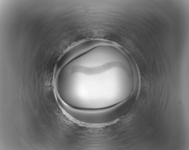 X0000080110818200612080953