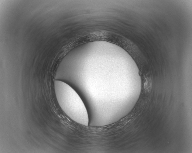 X0000080110819200612080953
