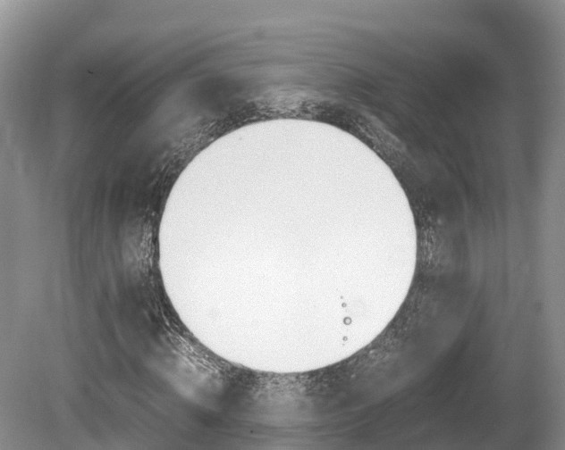 X0000080110820200612080953