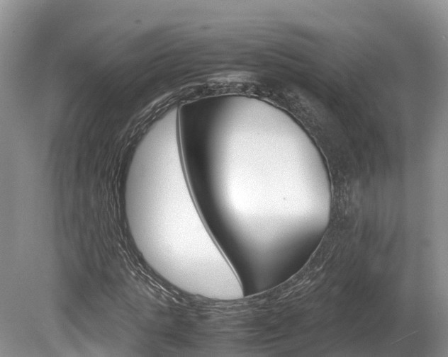 X0000080110821200612080953