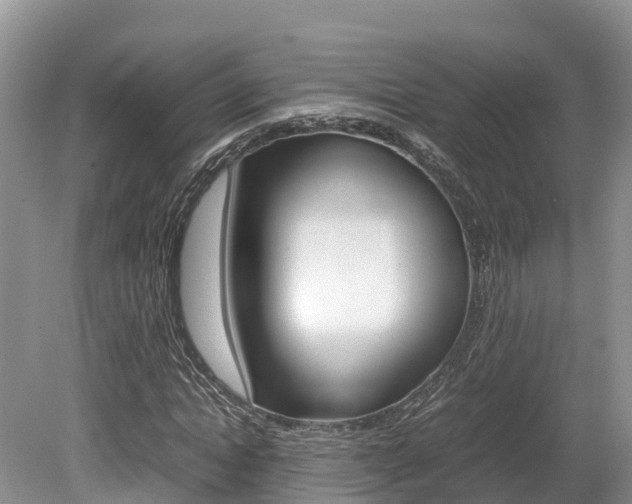 X0000080110822200612080953