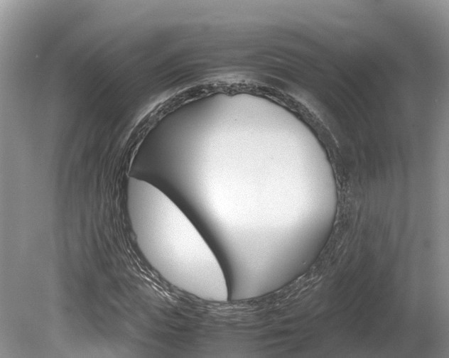 X0000080110823200612080953