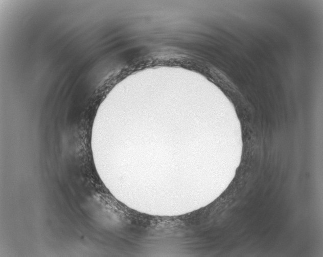 X0000080110824200612080953