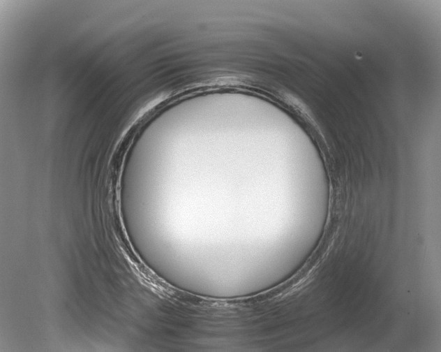 X0000080110827200612080953