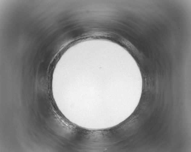 X0000080110828200612080953