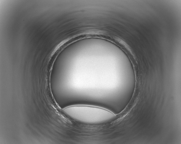 X0000080110829200612080953
