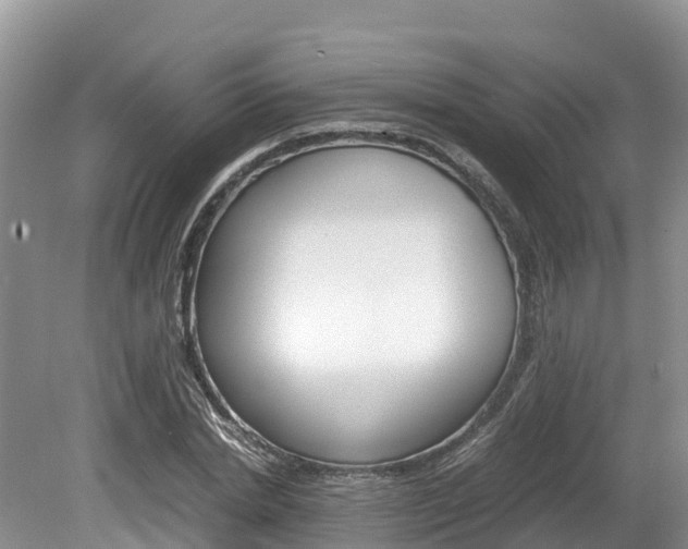 X0000080110830200612080953