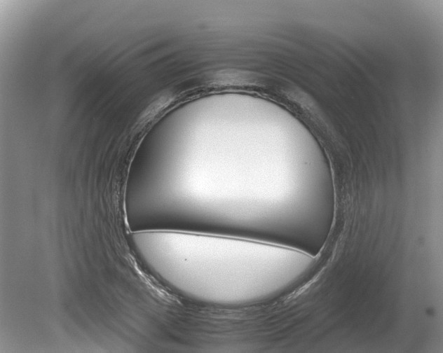X0000080110833200612080953