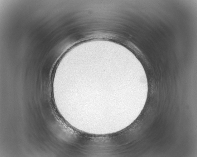 X0000080110836200612080953