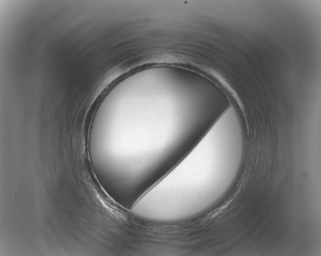X0000080110837200612080953