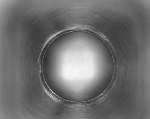 X0000080110838200612080953