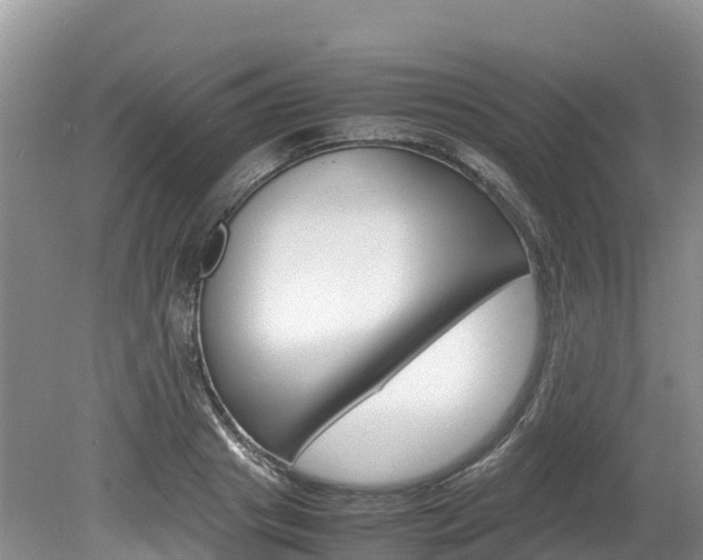 X0000080110841200612080953