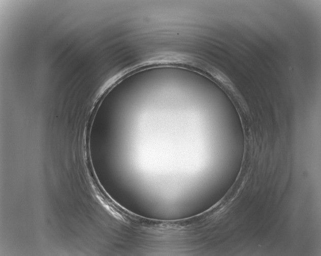 X0000080110842200612080953