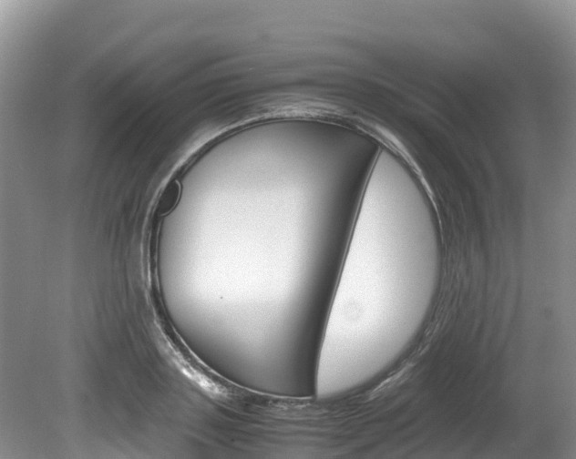 X0000080110843200612080953