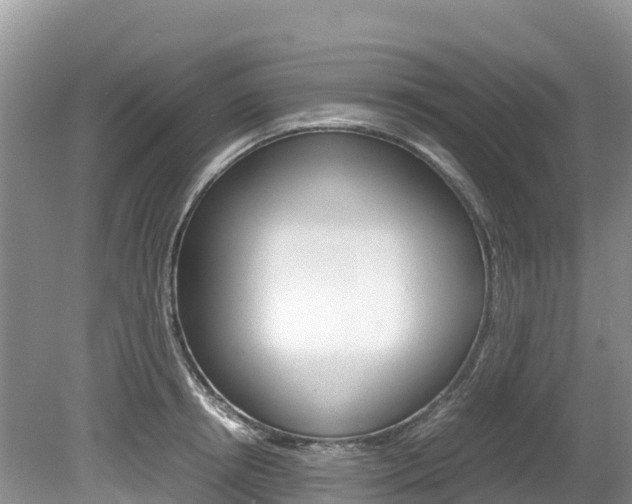 X0000080110850200612080953