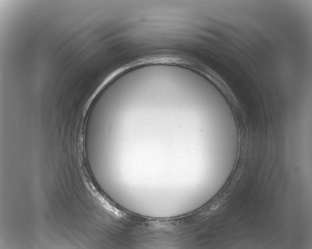 X0000080110852200612080953