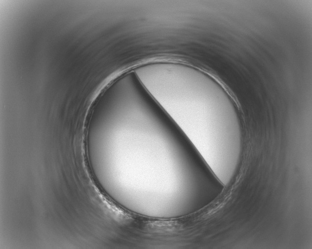 X0000080110853200612080953