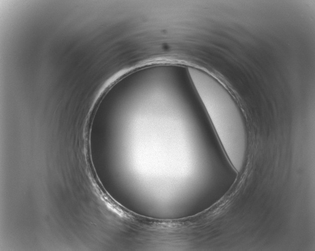 X0000080110854200612080953