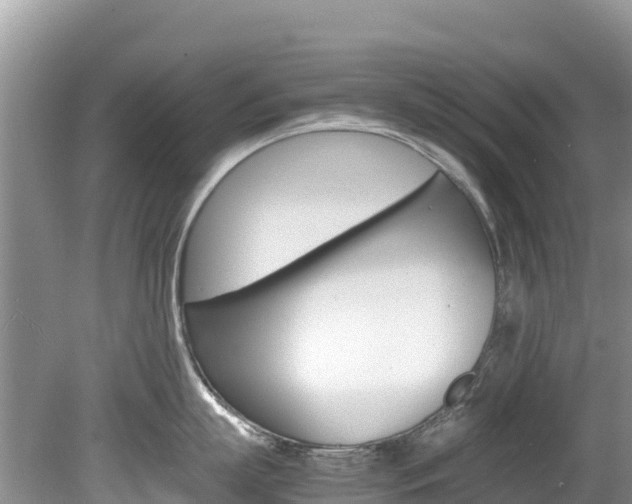X0000080110863200612080953
