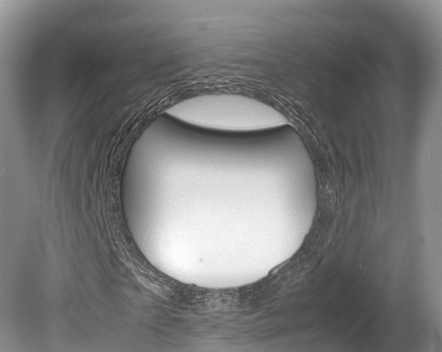 X0000080110865200612080953