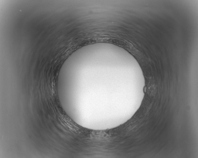 X0000080110866200612080953
