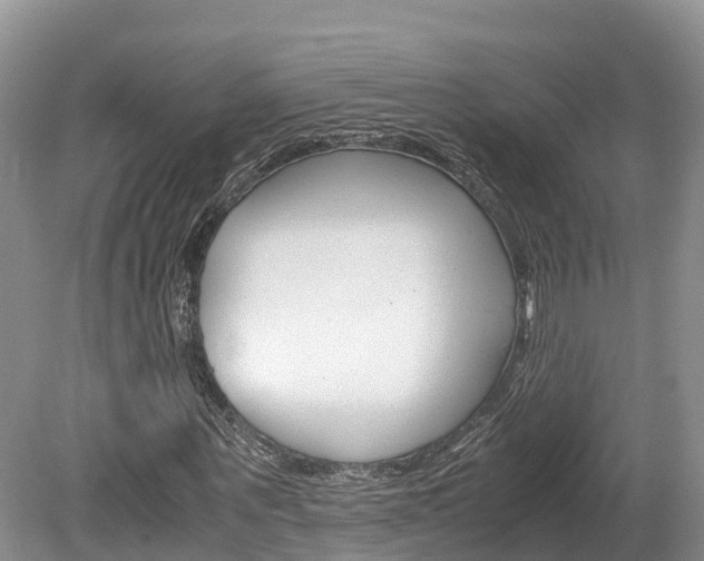 X0000080110867200612080953